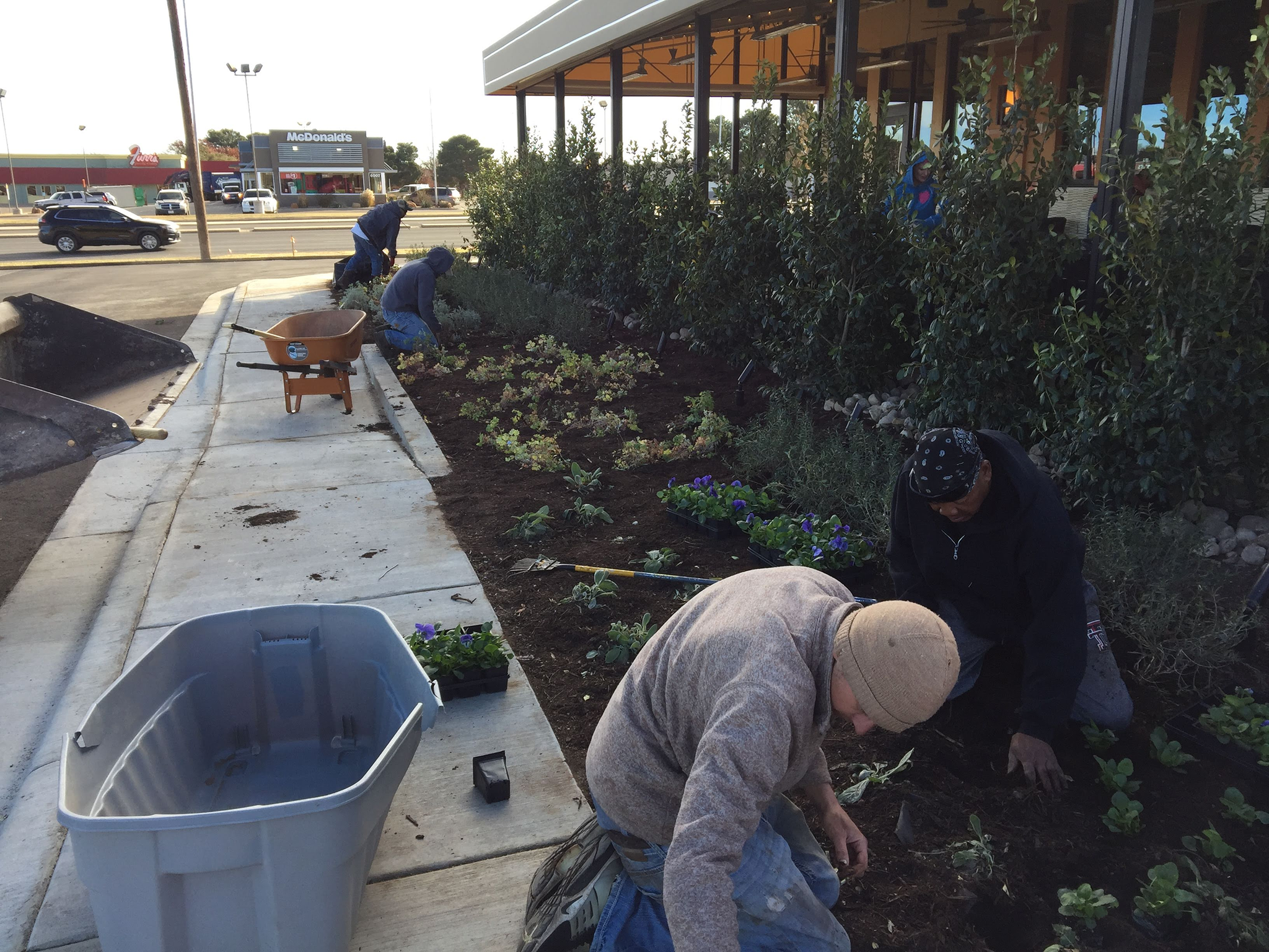 Verde Landscape team members working together on a landscaping project, demonstrating our commitment to quality and professionalism