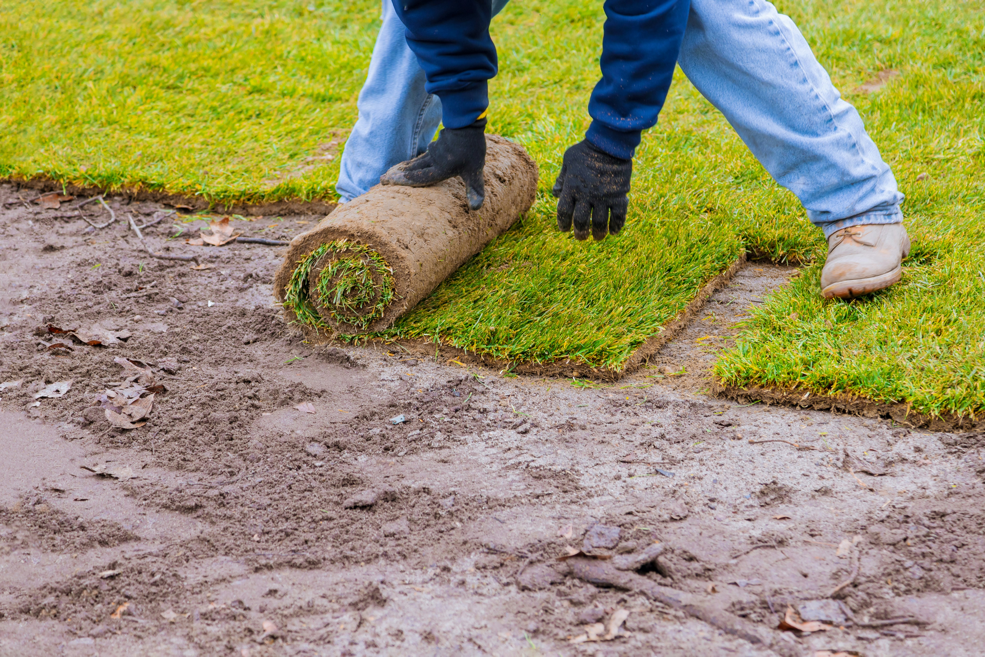 Professional landscaper installing artificial turf in a residential backyard